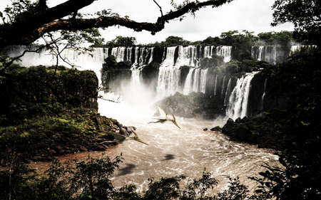 pterodactyls flying in the jurassic worldの写真素材