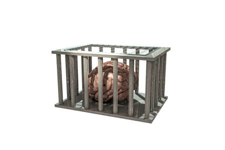 brain in a cage isolated on white backgroundの写真素材