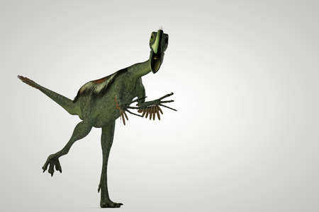 3d illustration of a gigantoraptor isolated on white backgroundの写真素材