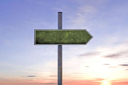 3d illustration of a blank street sign