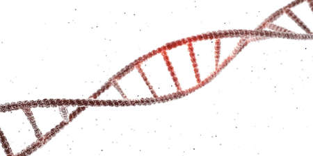 3d illustration of dna chain isolated on white backgroundの写真素材