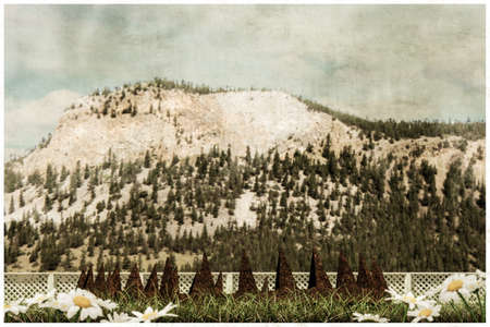 3d illustration of a rusty bear trap on green grassの写真素材