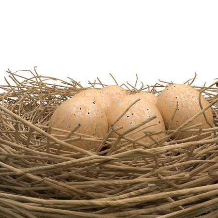 nest with eggs isolated on white background 3d illustrationの写真素材