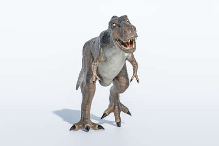 tyrannosaurus rex isolated on white background 3d illustrationの写真素材