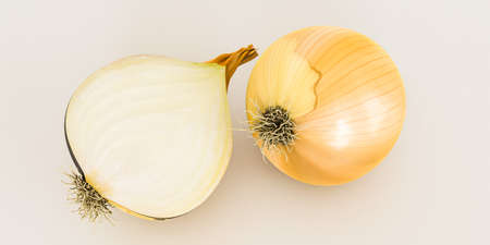onions isolated on white background 3d illustrationの写真素材