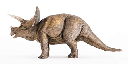 Triceratopos isolated on white background 3d illustrationの写真素材