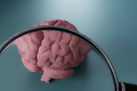 magnifier tool on a human brain 3d illustration
