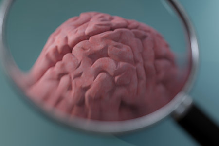 magnifier tool on a human brain 3d illustrationの写真素材