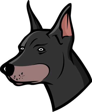 cartoon vector illustration of a doberman dogのイラスト素材