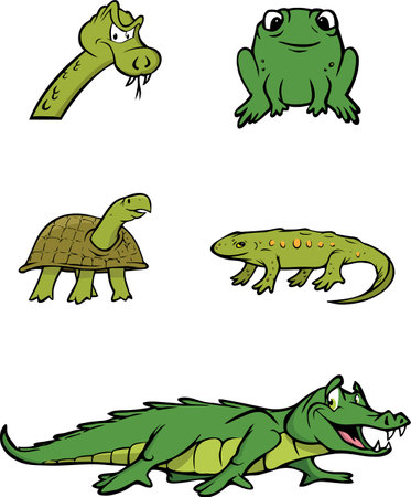 cartoon vector illustration of a reptiles collectionのイラスト素材