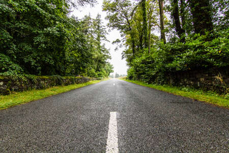 road to natureの写真素材