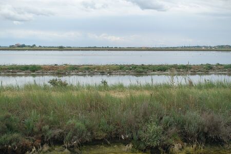 saline of cerviaの写真素材
