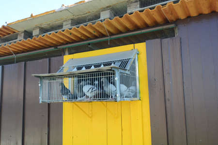 dovecote shelter for pigeonsの写真素材