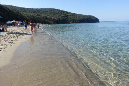 sandy beachの写真素材