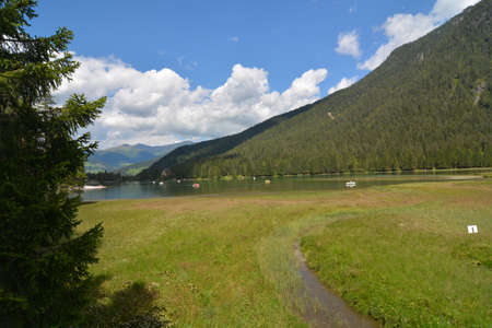 stream that feeds lake toblach in val pusteriaの写真素材