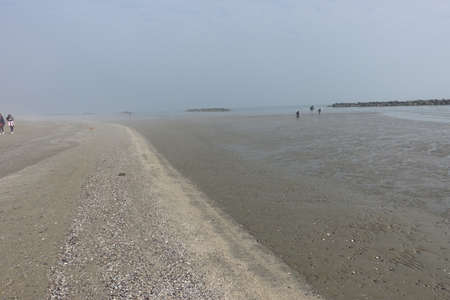 low tide with fog on the beach in porto garibaldiの写真素材