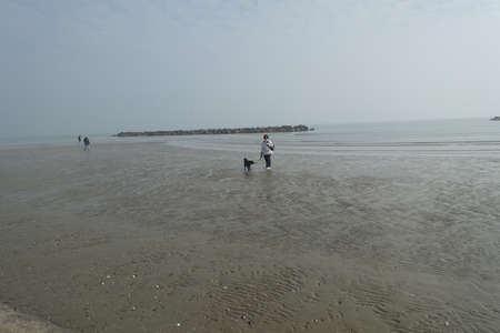 low tide with fog on the beach in porto garibaldiの写真素材