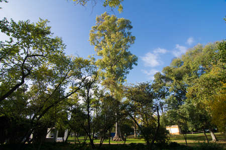 park in sevilleの写真素材