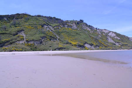 fiorenzuola di focara beach san bartolomeo natural park in pesaroの写真素材