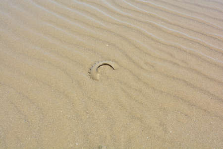 concreation in the sandの写真素材
