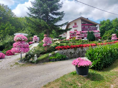 house with flower ornamentの写真素材