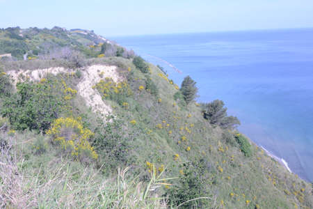 monte brisighella san bartolomeo park in pesaroの写真素材