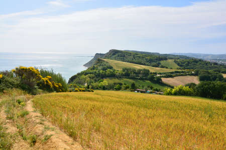 park San Bartolomeo Pesaroの写真素材