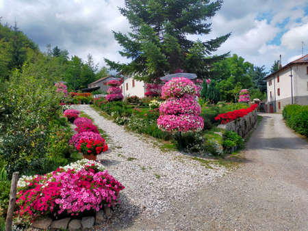 decorations with flowering at home in frassinoro in the Modena Apenninesの写真素材