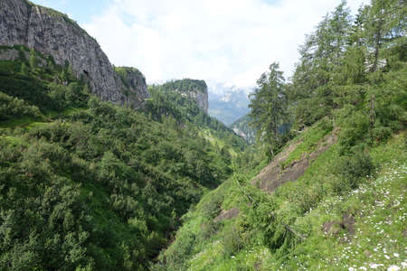 excursion to the alps of carnia for the lakes of obeの写真素材