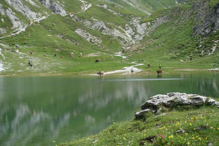 lakes of olbe in sappadaの写真素材