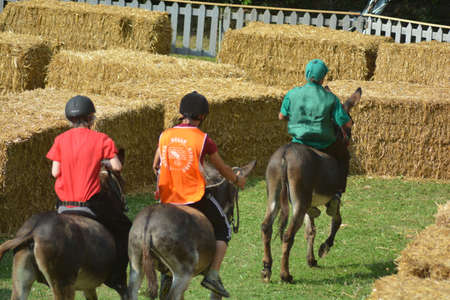 palio of donkeys in montecretoの写真素材