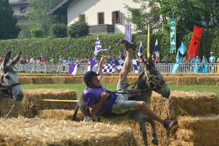 palio of donkeys in montecretoの写真素材