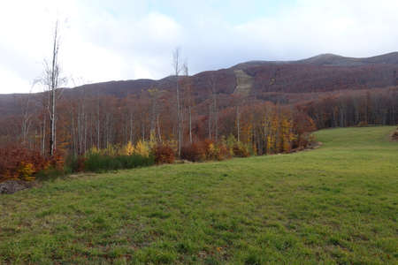 Modena Apennines locality the riolunato springsの写真素材