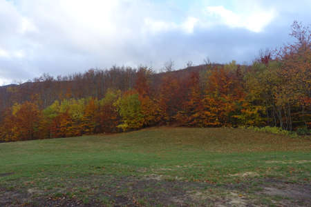autumn colors trees of the Modena Apenninesの写真素材