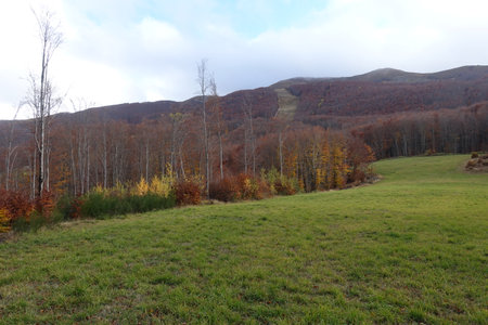 Modena Apennines near the Polle locality in Riolunatoの写真素材