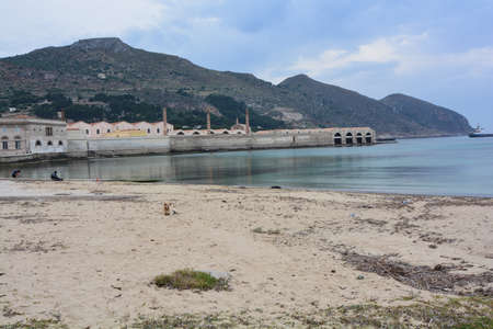 port of favignana where there are the trapsの写真素材