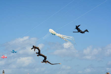 kite festival in san vito lo capo on the occasion of the annual cous cous initiativeの写真素材