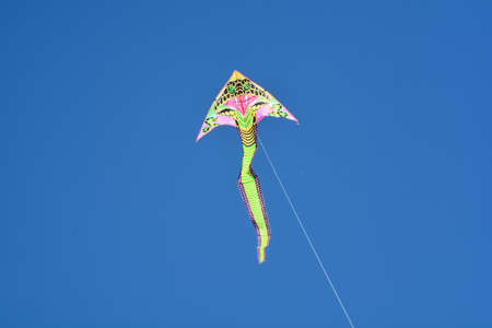 kite festival in san vito lo capo on the occasion of the annual cous cous initiativeの写真素材