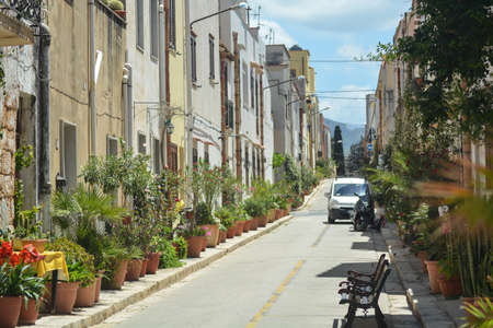 plants along the streets of san vito lo capo in sicilyの写真素材