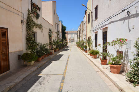 plants along the streets of san vito lo capo in sicilyの写真素材