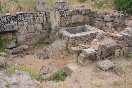 archaeological park of selinute in sicilyの写真素材