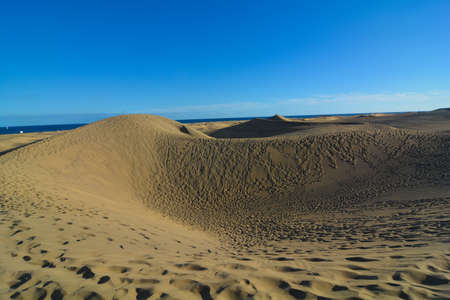oasis of maspalomas canary islandの写真素材