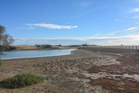 oasis of maspalomas canary islandの写真素材