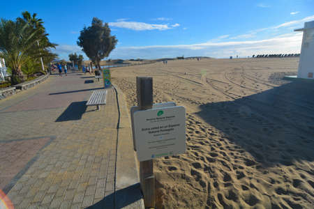 oasis of maspalomas canary islandの写真素材