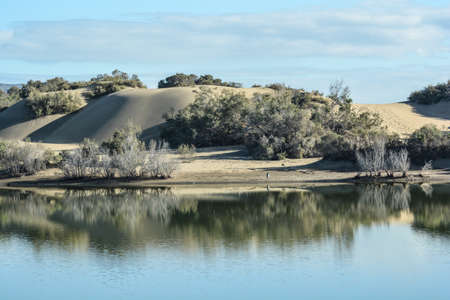 oasis of maspalomas gran canaria islandの写真素材