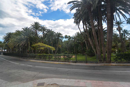 gardens of maspalomas city of the island gran canariaの写真素材