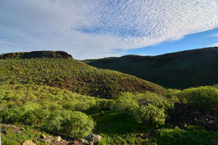 internal promontory of the island of Gran Canariaの写真素材