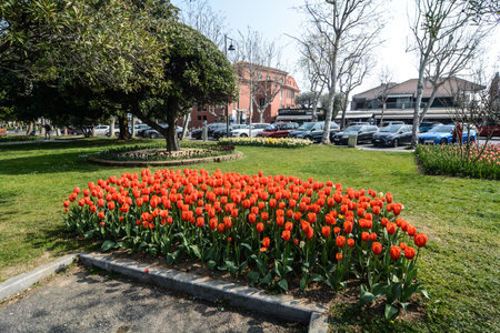 flower beds in sirmione lake gardaの写真素材