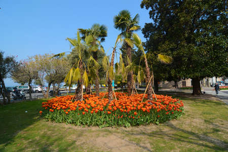 flower beds in sirmione lake gardaの写真素材