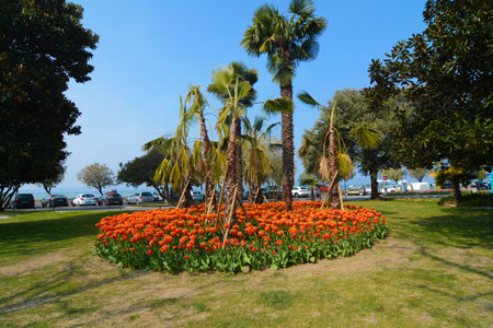 flower beds in sirmione lake gardaの写真素材